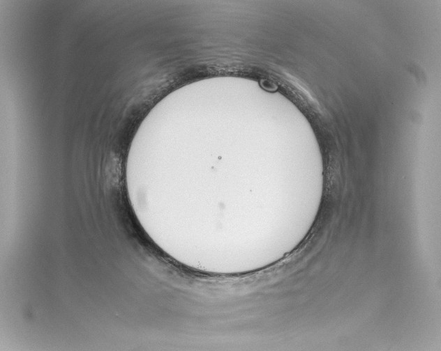 X0000115020025200911161456