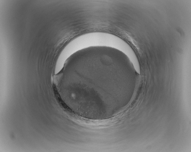 X0000115020027200911161456