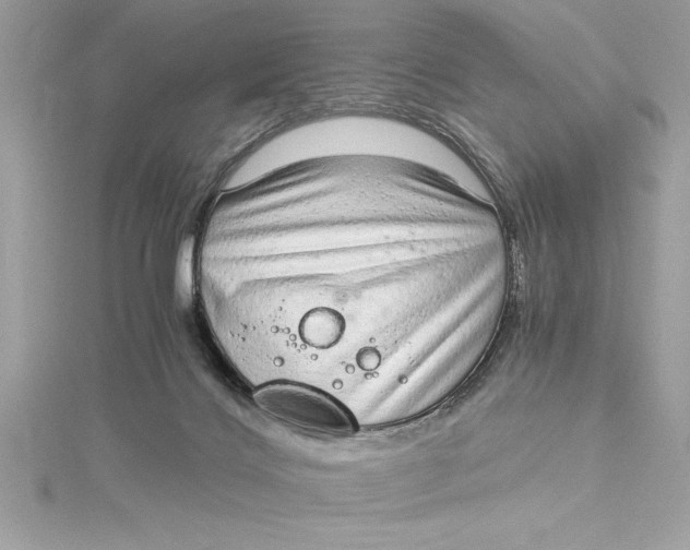 X0000115020028200911161456