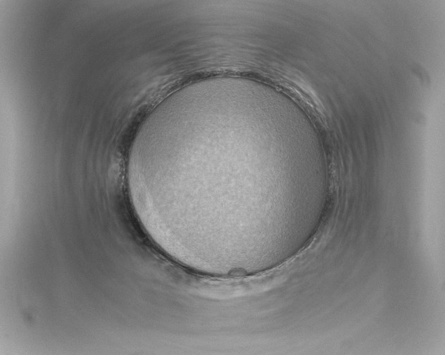 X0000115020029200911161456