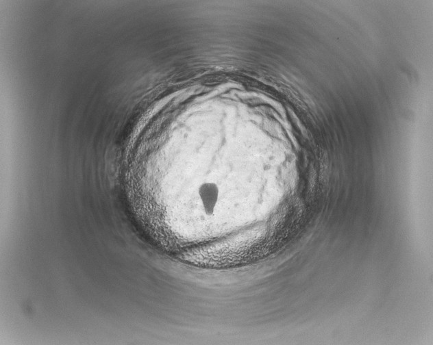 X0000115020030200911161456