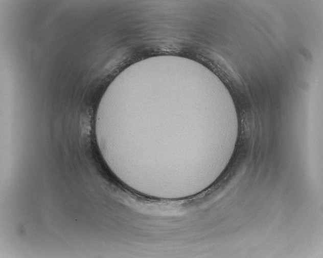 X0000115020032200911161456