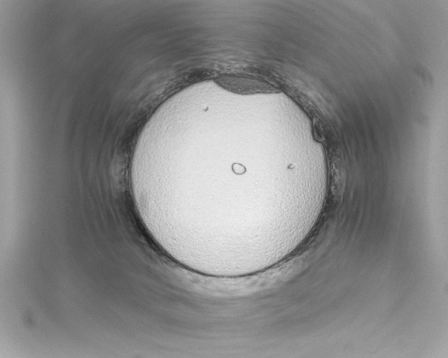 X0000115020034200911161456