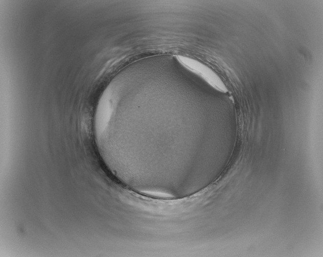 X0000115020035200911161456