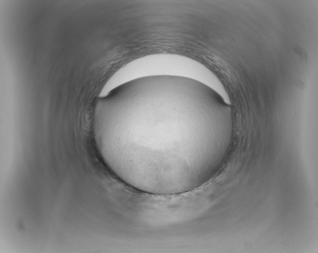 X0000115020037200911161456