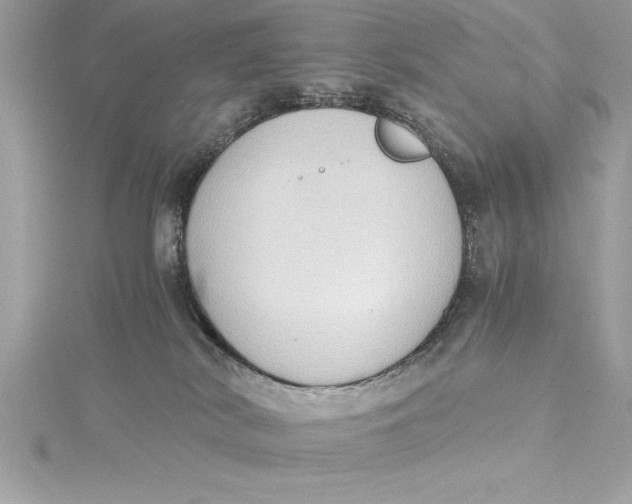 X0000115020038200911161456