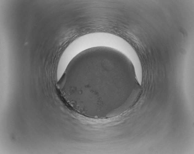 X0000115020039200911161455