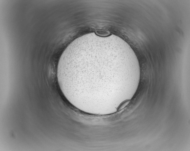 X0000115020040200911161455