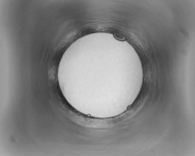 X0000115020044200911161455