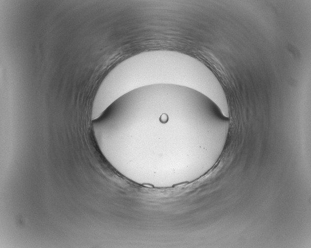 X0000115020045200911161455