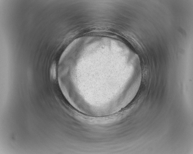 X0000115020046200911161455