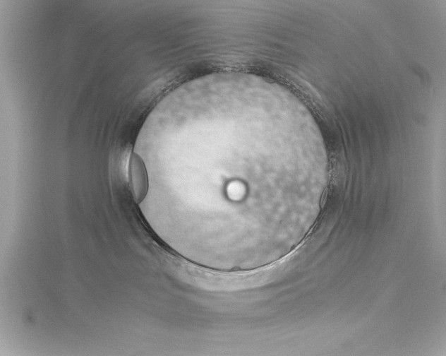 X0000115020047200911161455