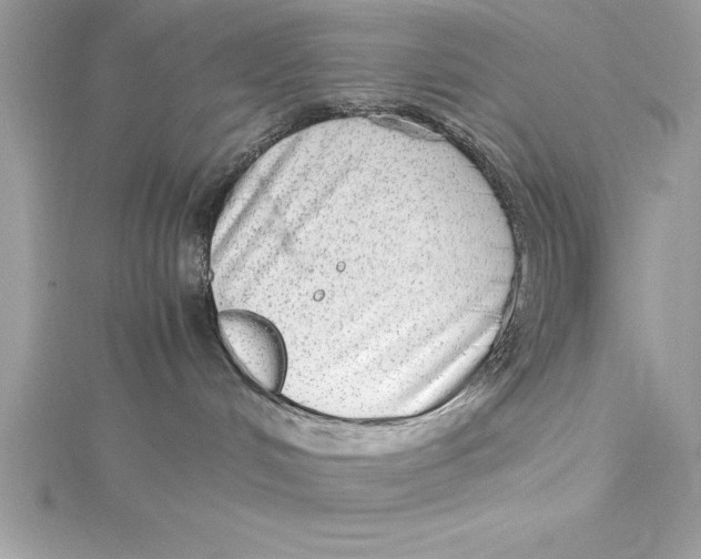 X0000115020048200911161455