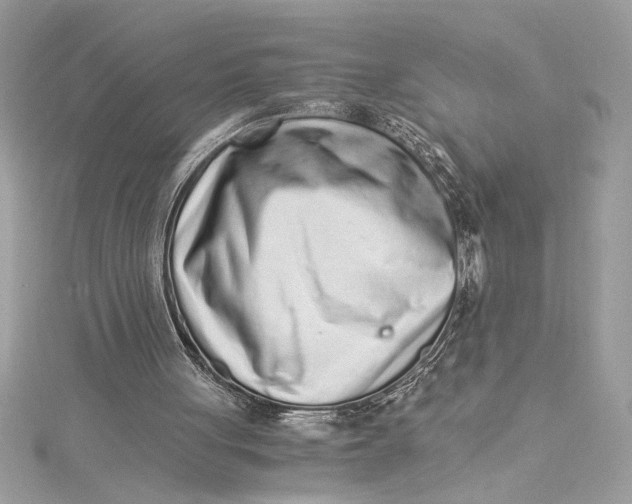 X0000115020051200911161455