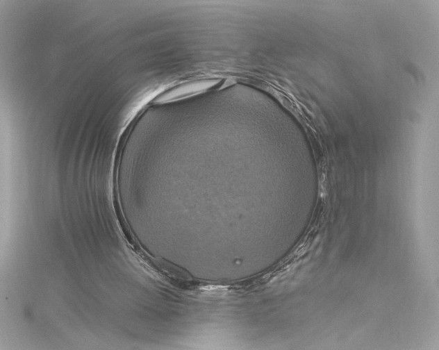 X0000115020052200911161455