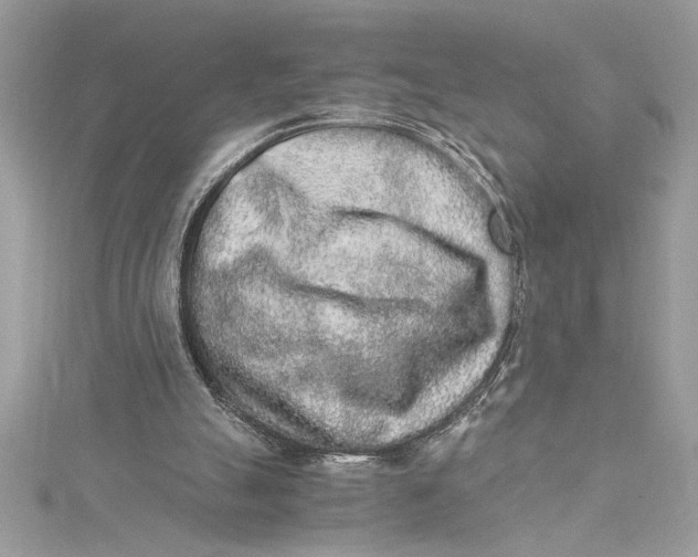 X0000115020055200911161455