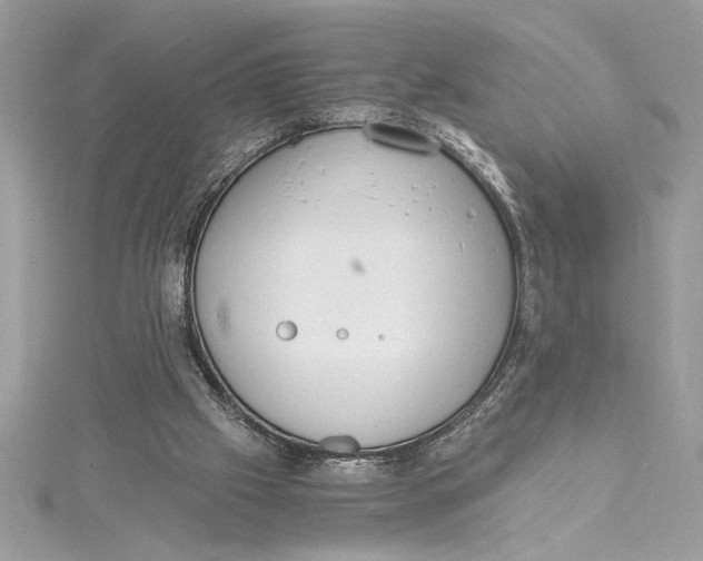 X0000115020057200911161455