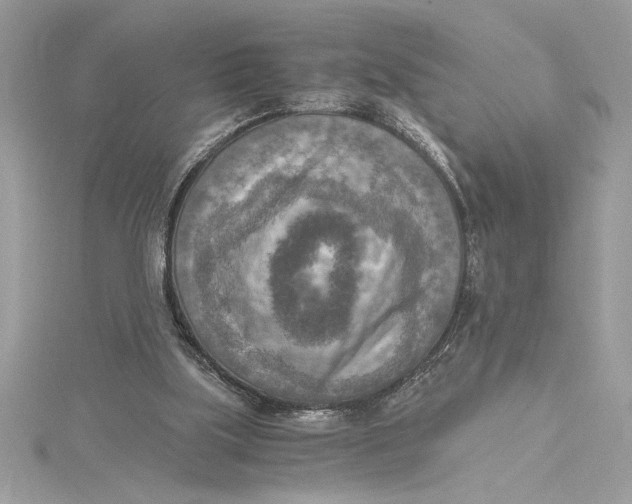 X0000115020059200911161455