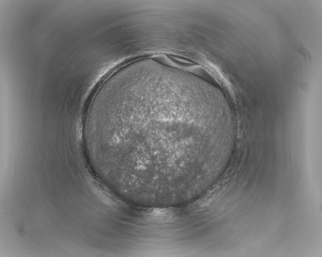 X0000115020060200911161455