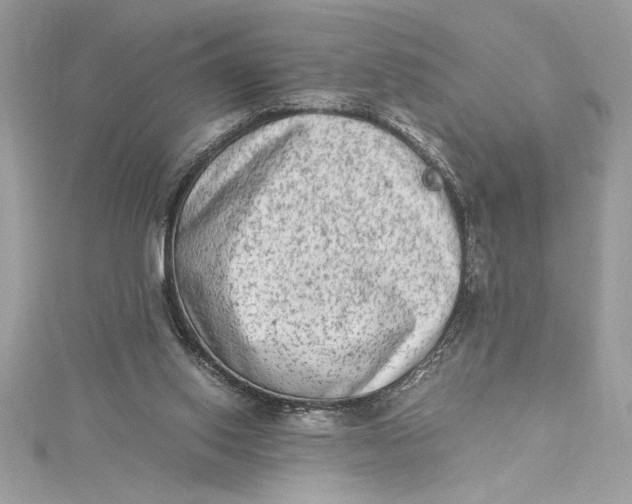 X0000115020062200911161455