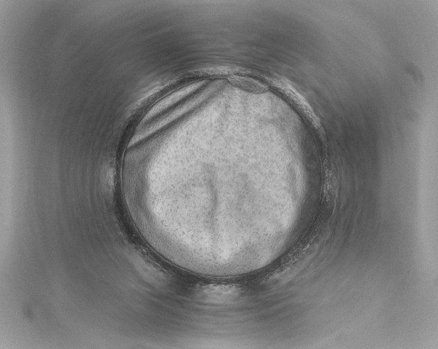 X0000115020063200911161455