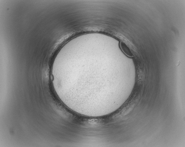 X0000115020064200911161455