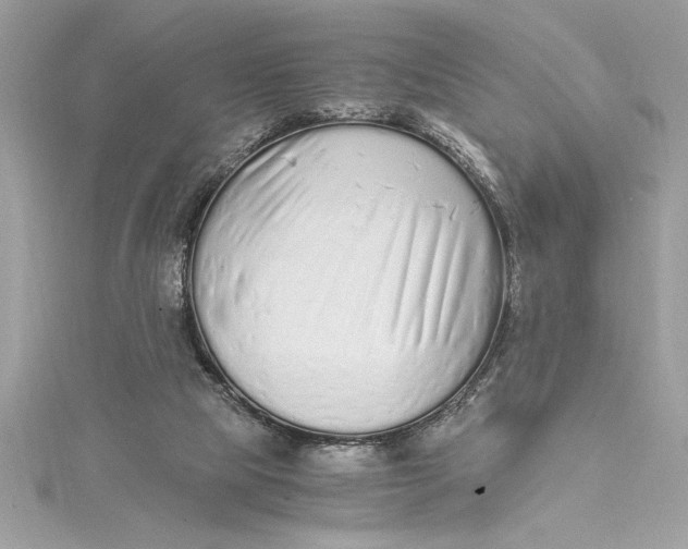 X0000115020065200911161455