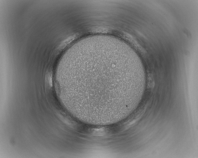 X0000115020068200911161455