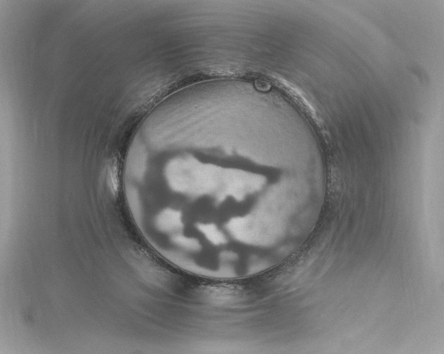 X0000115020069200911161455