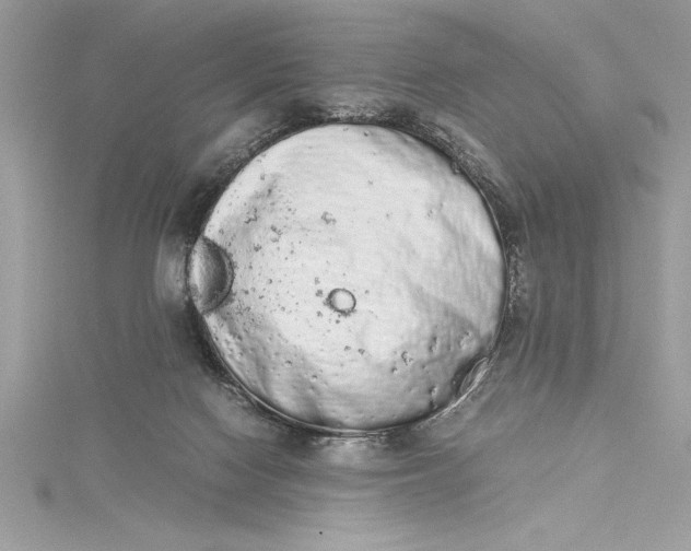 X0000115020074200911161455