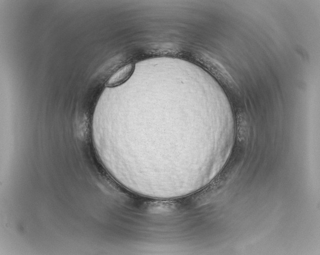 X0000115020077200911161455