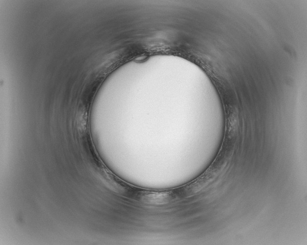 X0000115020081200911161455