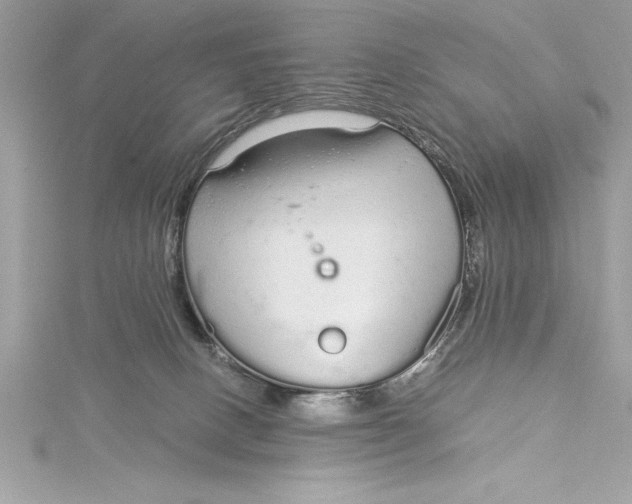 X0000115020082200911161455