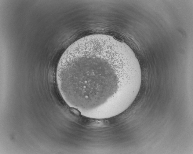 X0000115020083200911161455