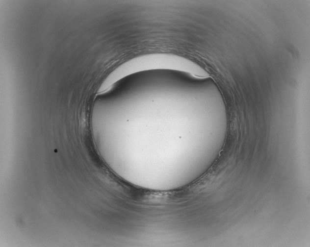 X0000115020084200911161455