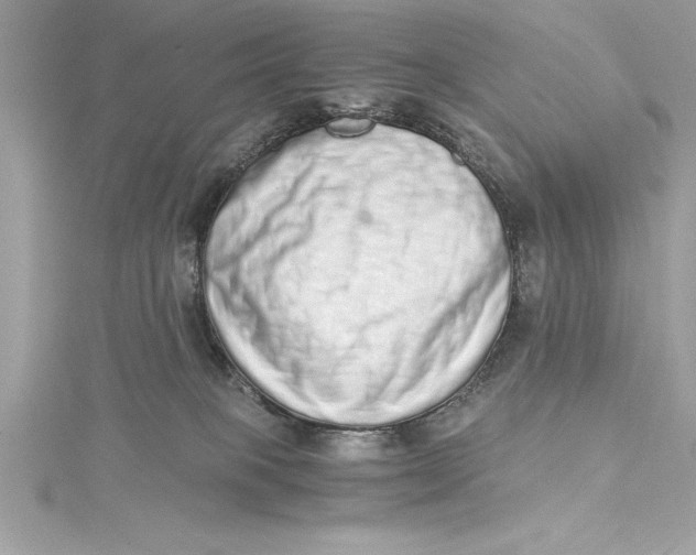 X0000115020085200911161455