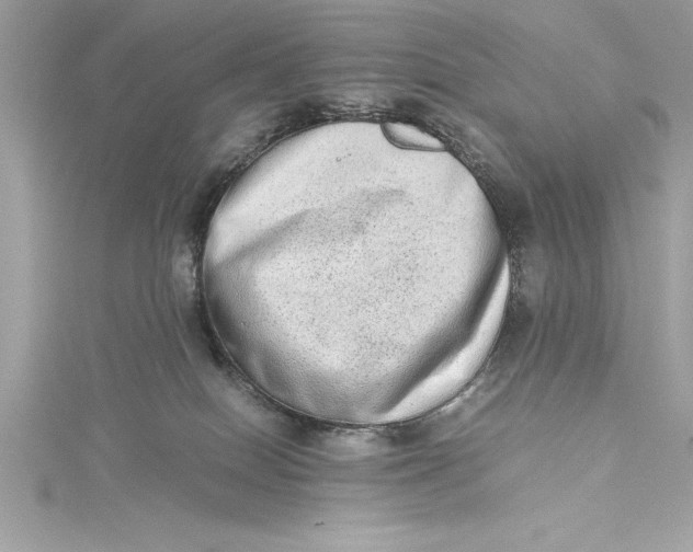 X0000115020086200911161455