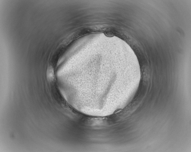 X0000115020089200911161455