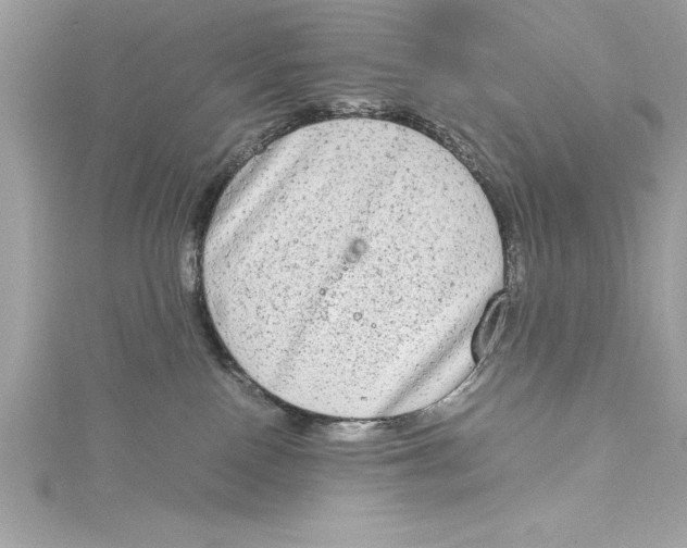 X0000115020090200911161455