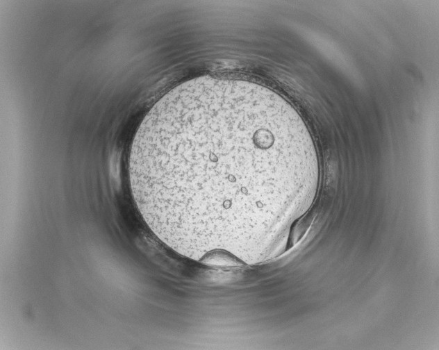 X0000115020094200911161455