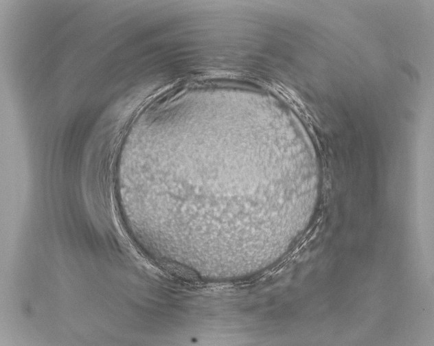 X0000115020097200911161455