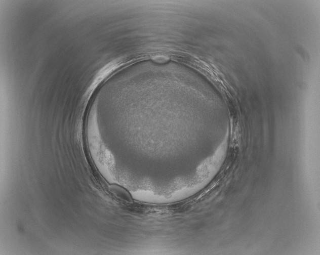 X0000115020099200911161455