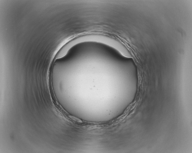 X0000115020100200911161455