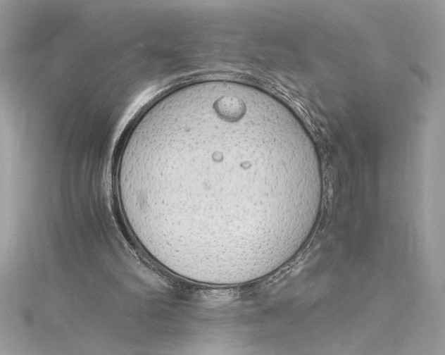 X0000115020102200911161455