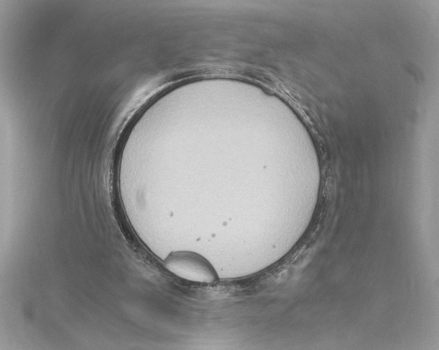 X0000115020103200911161455