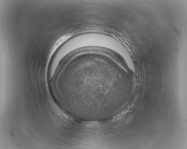 X0000115020104200911161454