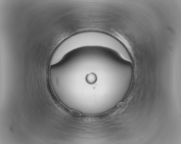 X0000115020105200911161454