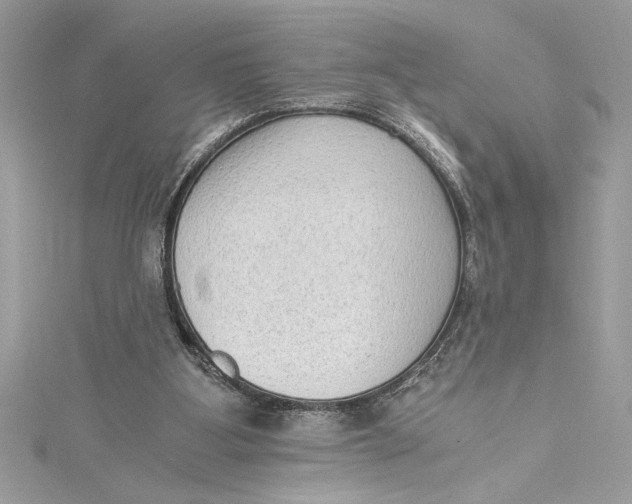 X0000115020107200911161454