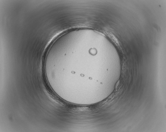 X0000115020108200911161454