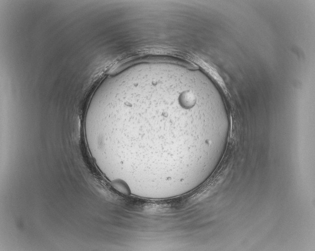 X0000115020109200911161454